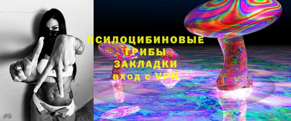 2c-b Кинешма