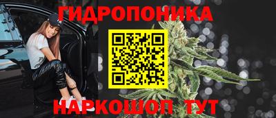 мяу мяу мука Новозыбков