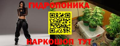 mix Новодвинск