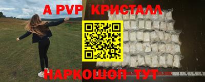 СК Новокубанск