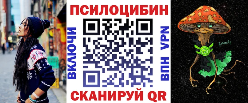 Галлюциногенные грибы Psilocybe  Электросталь 