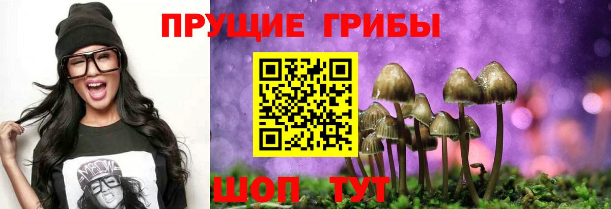 Псилоцибиновые грибы Psilocybine cubensis Электросталь