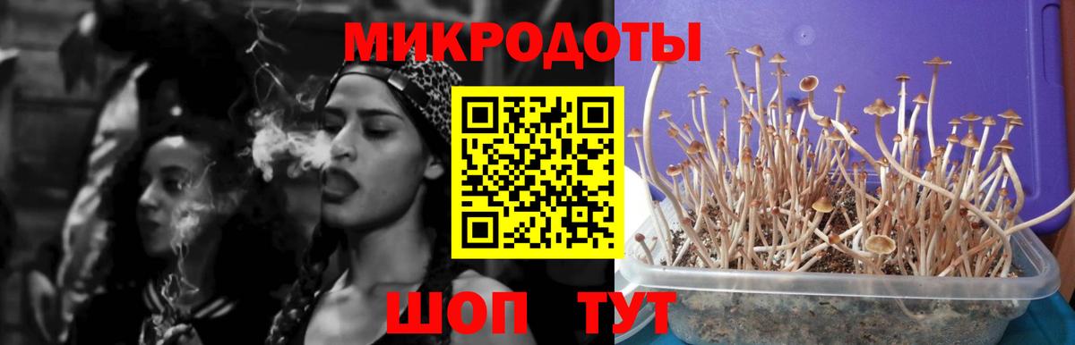 Псилоцибиновые грибы мухоморы  Вход с VPN  Электросталь 